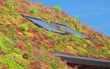 Chalkhill living roof systems